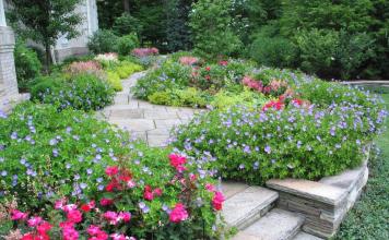 Растения для украшения садовой дорожки — какие цветы посадить Какие растения посадить вдоль дорожки