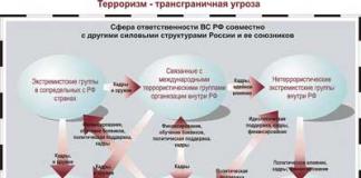 Российская армия: социальные проблемы и способы их решения Актуальные вопросы развития вс